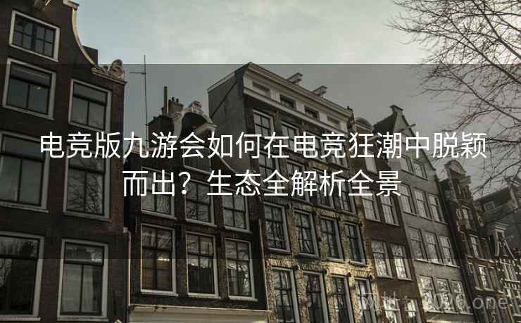 电竞版九游会如何在电竞狂潮中脱颖而出?生态全解析全景 第2张 电竞版九游会如何在电竞狂潮中脱颖而出?生态全解析全景 第2张