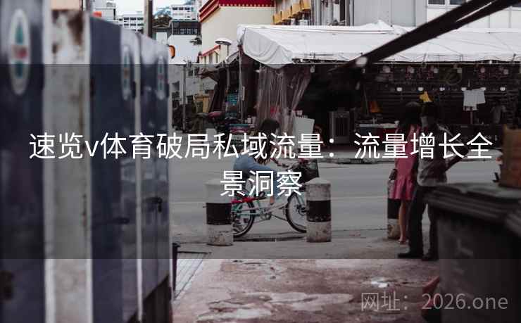 速览v体育破局私域流量：流量增长全景洞察