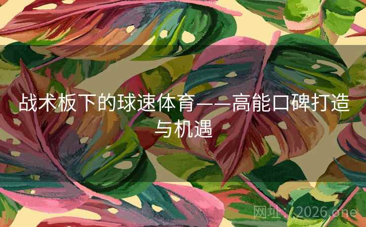 战术板下的球速体育——高能口碑打造与机遇