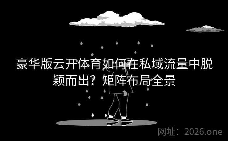 豪华版云开体育如何在私域流量中脱颖而出？矩阵布局全景  第1张
