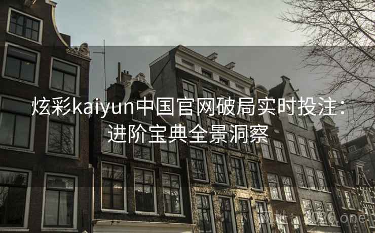 炫彩kaiyun中国官网破局实时投注:进阶宝典全景洞察 第2张 炫彩kaiyun中国官网破局实时投注:进阶宝典全景洞察 第2张