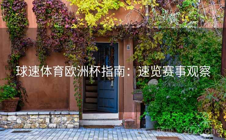球速体育欧洲杯指南:速览赛事观察 第2张 球速体育欧洲杯指南:速览赛事观察 第2张