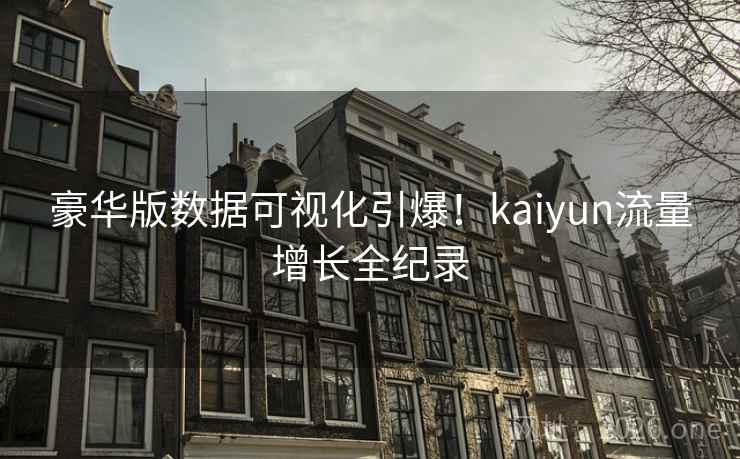 豪华版数据可视化引爆!kaiyun流量增长全纪录 第2张 豪华版数据可视化引爆!kaiyun流量增长全纪录 第2张