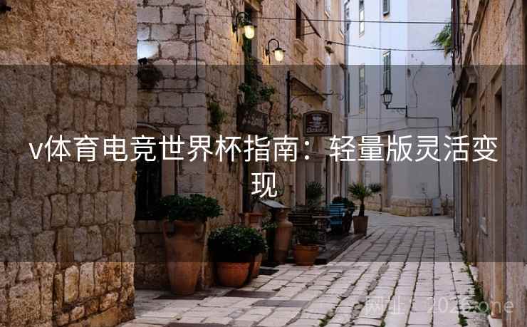 v体育电竞世界杯指南:轻量版灵活变现 第2张 v体育电竞世界杯指南:轻量版灵活变现 第2张