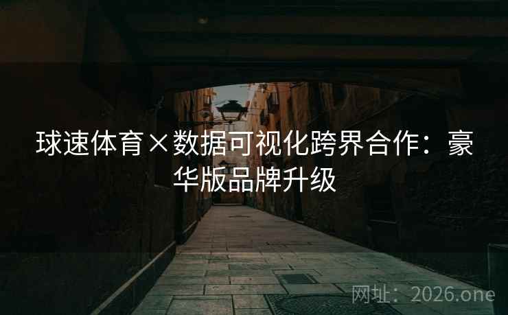 球速体育×数据可视化跨界合作:豪华版品牌升级 第1张 球速体育×数据可视化跨界合作:豪华版品牌升级 第1张