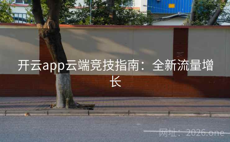 开云app云端竞技指南:全新流量增长 第2张 开云app云端竞技指南:全新流量增长 第2张