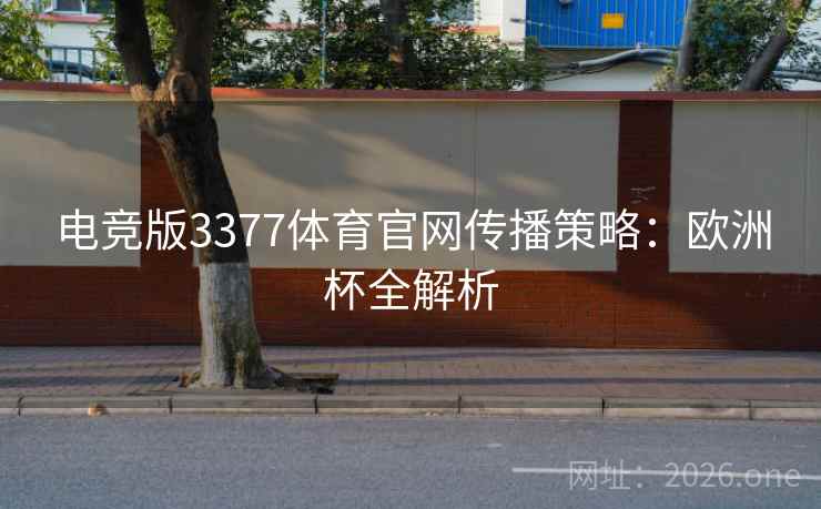 电竞版3377体育官网传播策略:欧洲杯全解析 第2张 电竞版3377体育官网传播策略:欧洲杯全解析 第2张