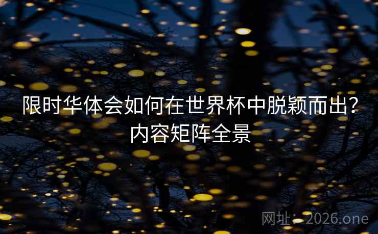 限时华体会如何在世界杯中脱颖而出？内容矩阵全景  第2张